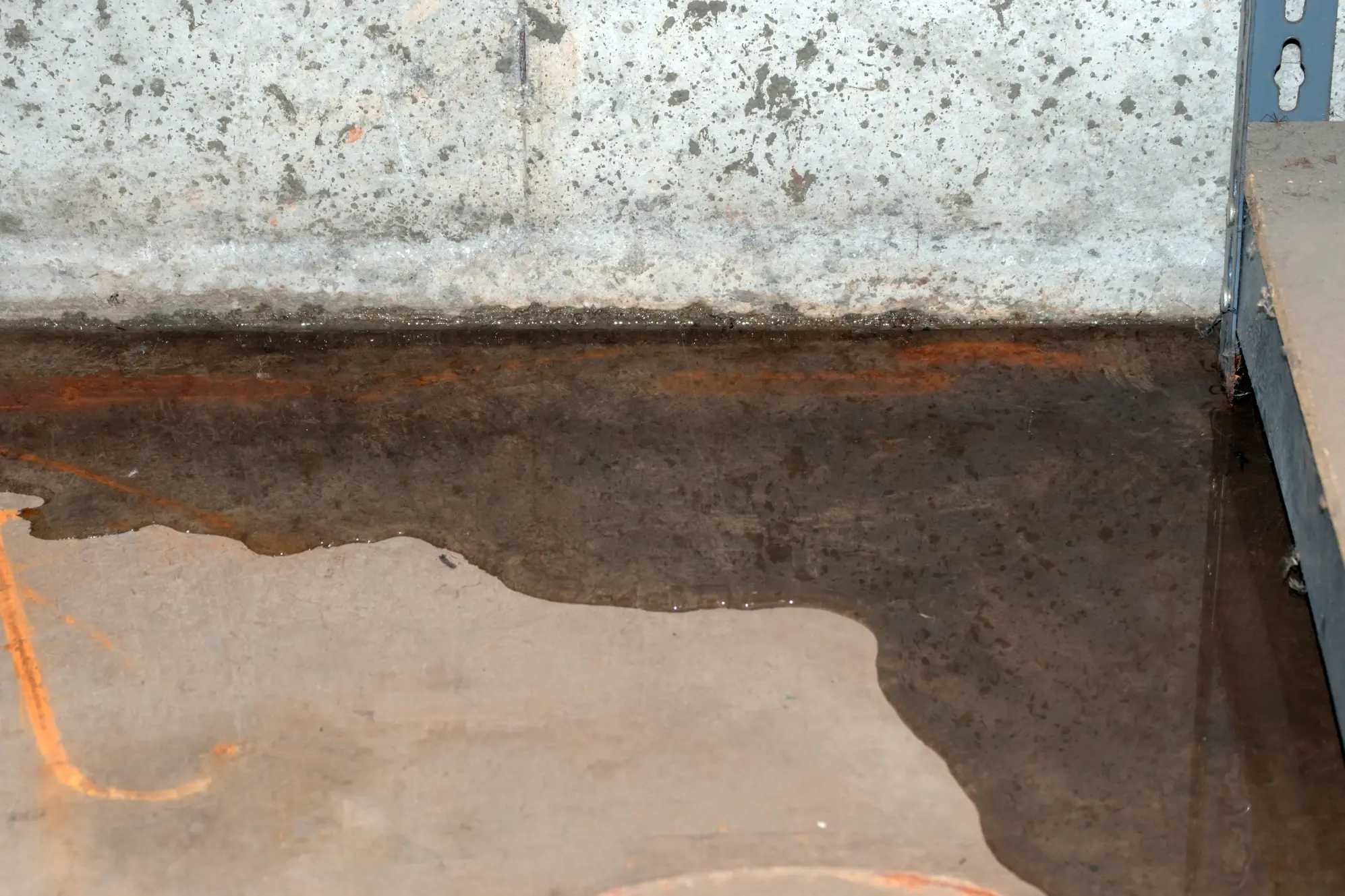 Signs of basement moisture issues and foundation wall water damage